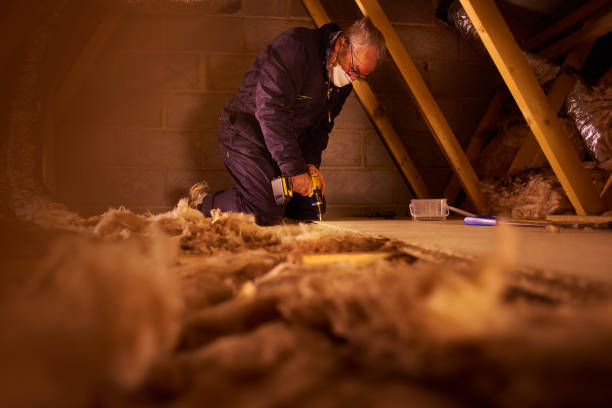 Best Specialty Insulation in Eupora, MS
